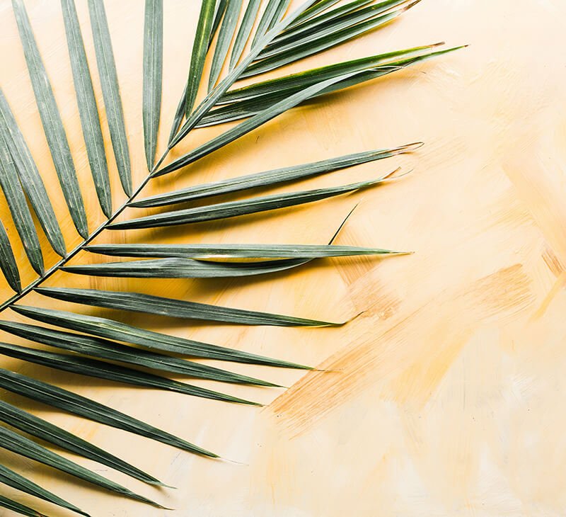 brooke-lark-7rIsBSxhiXM-unsplash-crp